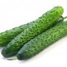 Cucumber Chinese Heat Resistant F1,Cucumber organic seeds, 0,5 g - #175