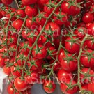 Tomato Cherry Red, 150 tomato seeds, organic tomato, SW1028B+TRACK №