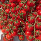 Tomato Cherry Red, 300 tomato seeds, organic tomato, SW1028B+TRACK №