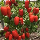 Tomato Lady's Finger, 50 tomato seeds, organic tomato, SW1035+TRACK №