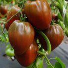 Tomato Bull Heart chocolate, 50 tomato seeds, organic tomato, SW1038+TRACK №