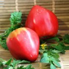 Tomato seeds, 150 tomato seeds ADAM'S HEART, Ukrainian organic tomato SW1132+TRACK №