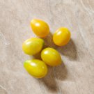 Tomato seeds, 250 tomato seeds GOLDEN RAIN, Ukrainian organic tomato SW1133+TRACK â„– Tomato seeds, 250 tomato seeds GOLDEN RAIN, Ukrainian organic tomato SW1133+TRACK â„–