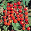 Tomato seeds, 150 tomato seeds THUMBELINA, Ukrainian organic SW1140+TRACK №