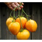 Tomato seeds, 50 tomato seeds HEART OF ASHGABAT, Ukrainian organic SW1141+TRACK №