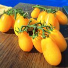 Tomato seeds, 250 tomato seeds CHERRY BANANO, Ukrainian organic SW1142+TRACK №