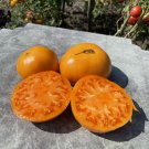 ORANGE BISON Tomato Seeds–75 seeds Large Mid Season Sweet Fruits SW1169+TRACK №