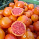 ZLATAVA Tomato Seeds–250 seeds Orange Yellow Fruit Red Flesh Sweet Variety SW1172+TRACK №