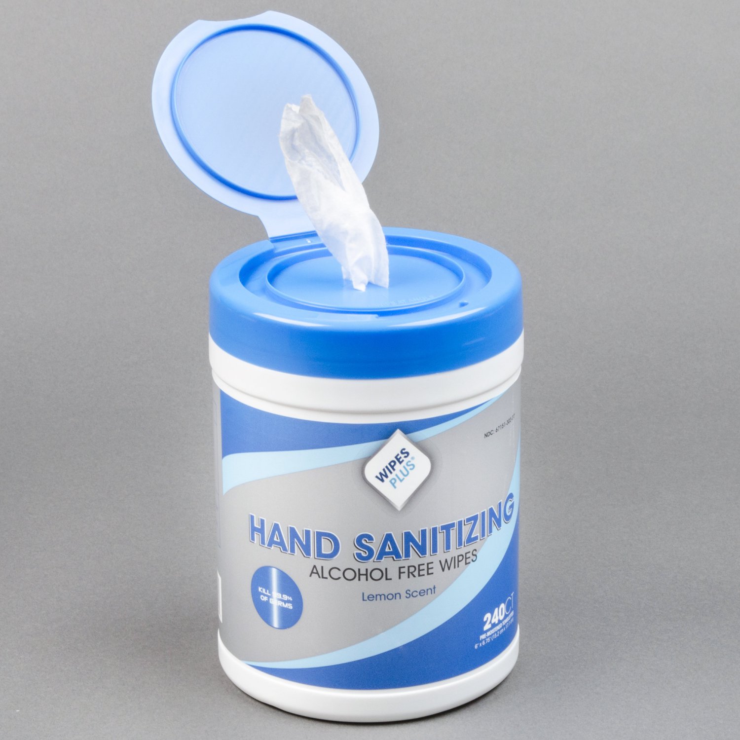 WipesPlus 240 count HAND SANITIZING ALCOHOL FREE, SANITIZING Hand ...