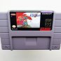 Alcahest Action RPG Anime Game / Case SNES Super Nintendo (English Translated)