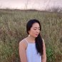 Natural Shell Earrings