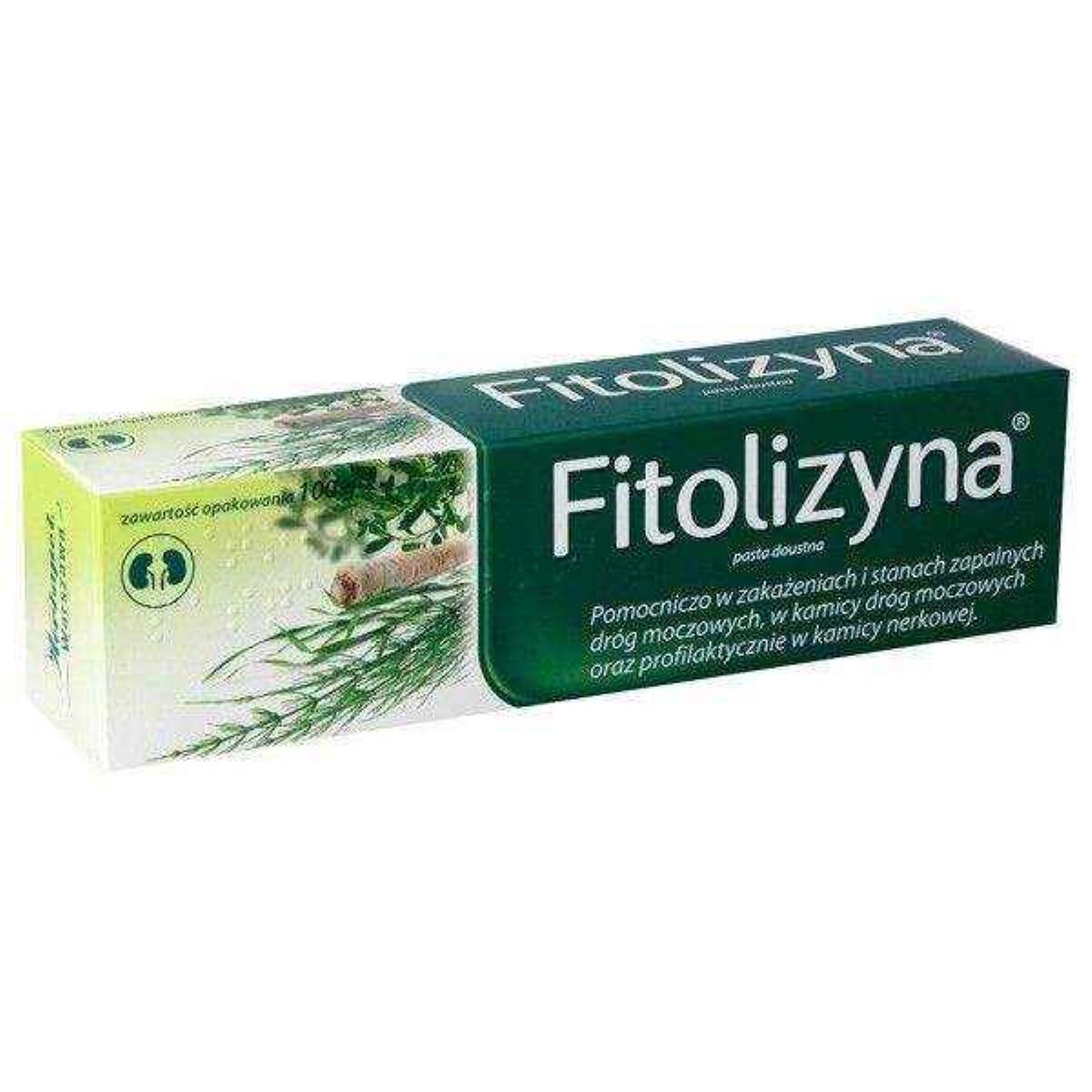 Fitolizin (Fitolizyna) edible paste 100 g / 3.52 oz. Herbal help with ...