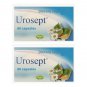 Urosept N60 Tablets. Auxiliary support for your bladder health