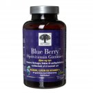 NEW NORDIC Blueberry Vision Support Supplements, 60 Gummies