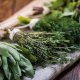 Herbal based remedies