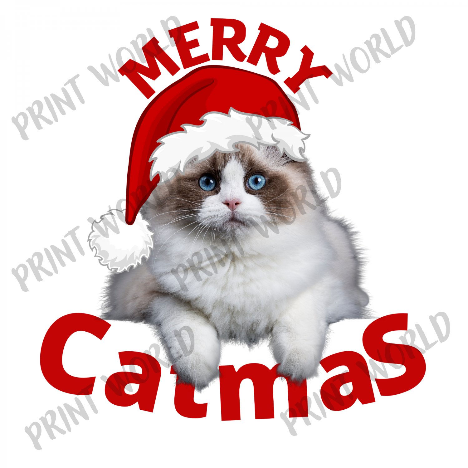 Merry Catmas Cute Cat Christmas Design digital download PNG file.