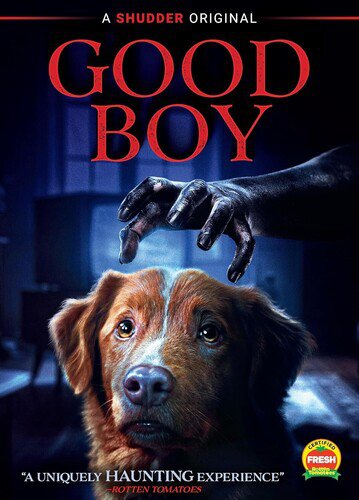 Good Boy DVD