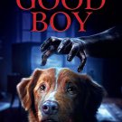 Good Boy DVD