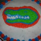 University of Fl. Cake