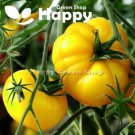 VEGETABLE - TOMATO BEEFSTEAK - YELLOWSTONE - 100 SEEDS - Yellow Tomato