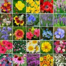 ALL HEIRLOOM Flower Mix 25 Species Butterflies Hummingbirds Non-GMO 500+ Seeds!