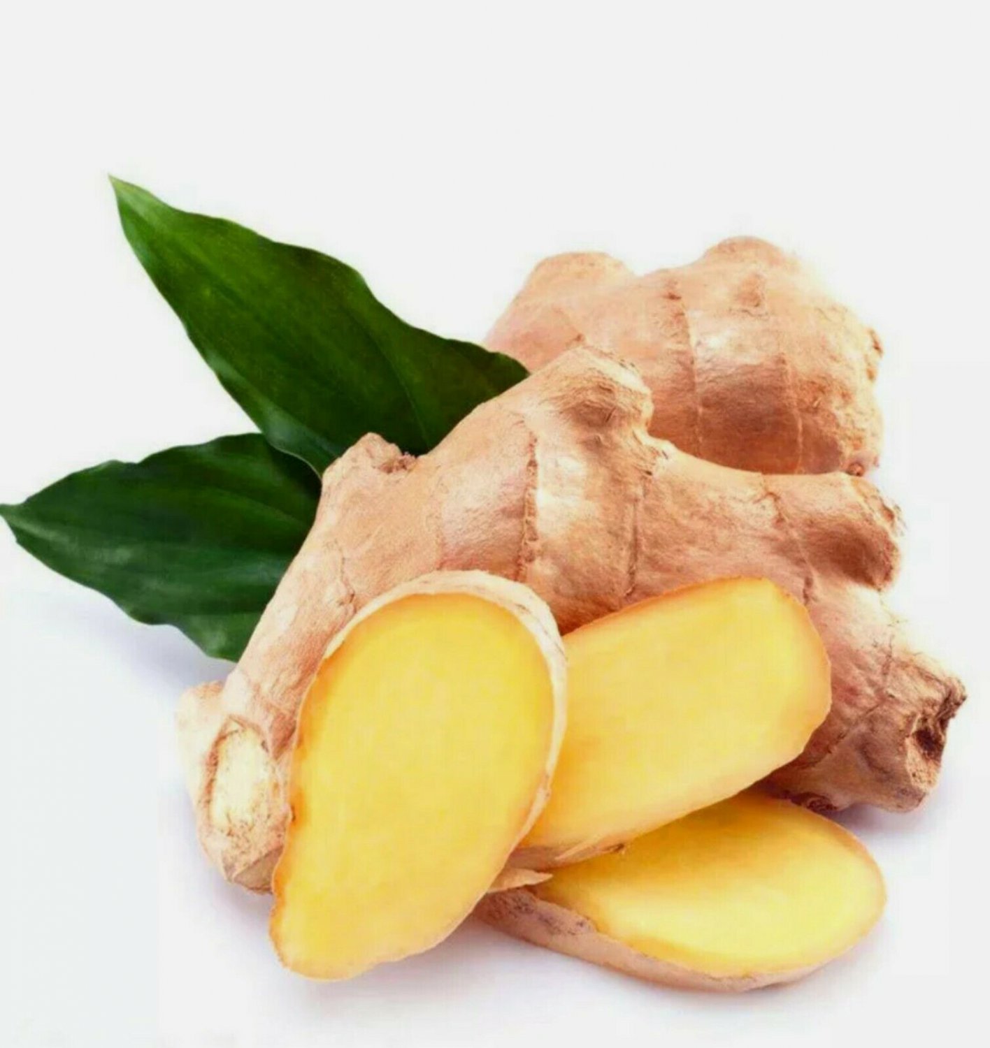 Ginger. Джинджер имбирь. Корень имбиря. Zingiber officinale. Имбирь корневище.