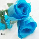 1 Professional Pack, 50 seeds / pack, New Rosen Samen Blue Rose Seeds Gothic Gardenin