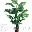 100pcs Philodendron Bonsai, Vine Leaf, Indoor Plants Anti Radiation Absorb dust Tree Bonsai