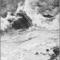The Book of the Ocean by Ernest Ingersoll