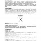 Grimoire Des Runes by Morigane 