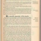 The Forbidden History Of Europe 