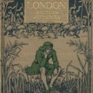 After London; Or, Wild England by Richard Jefferies