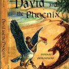 David and the Phoenix by Edward Ormondroyd