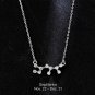 Birthday 925 Silver Zodiac Constellation Necklace Horoscope Astrology Monthly