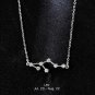 Birthday 925 Silver Zodiac Constellation Necklace Horoscope Astrology Monthly