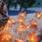 Holiday Christmas Thanksgiving string LED lights Fall Leaves Snowman GingerBread