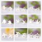 Fashion Solid 925 Sterling Silver Gold Studs Mul-Options Elegant Earrings New