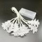 Christmas Holiday string LED lights Warm White trees Indoors Outdoors