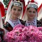 Biofresh HAND CREAM "ROSE OF BULGARIA" With Natural Rose Water 75 ml