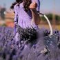 Evterpa 10 ml Pure Bulgarian Lavender Oil 100% Natural Aromatherapy