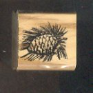 Rubber Stamp Scrapbooking - Wood Mount - New - Stampin Up - Pine Cone - 1X 1"