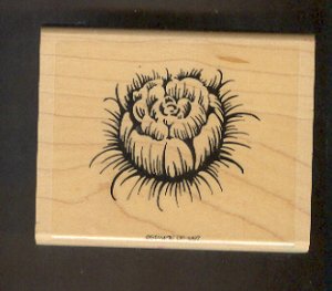 Rubber Stamp Scrapbooking - Wood Mount -  Stampin Up - Flower 3 X 4"