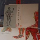 Books - Anatomical Charts of the Acupuncture Points and 14 Meridians - Full Size