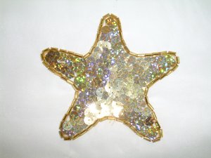 Hand  Sequins work