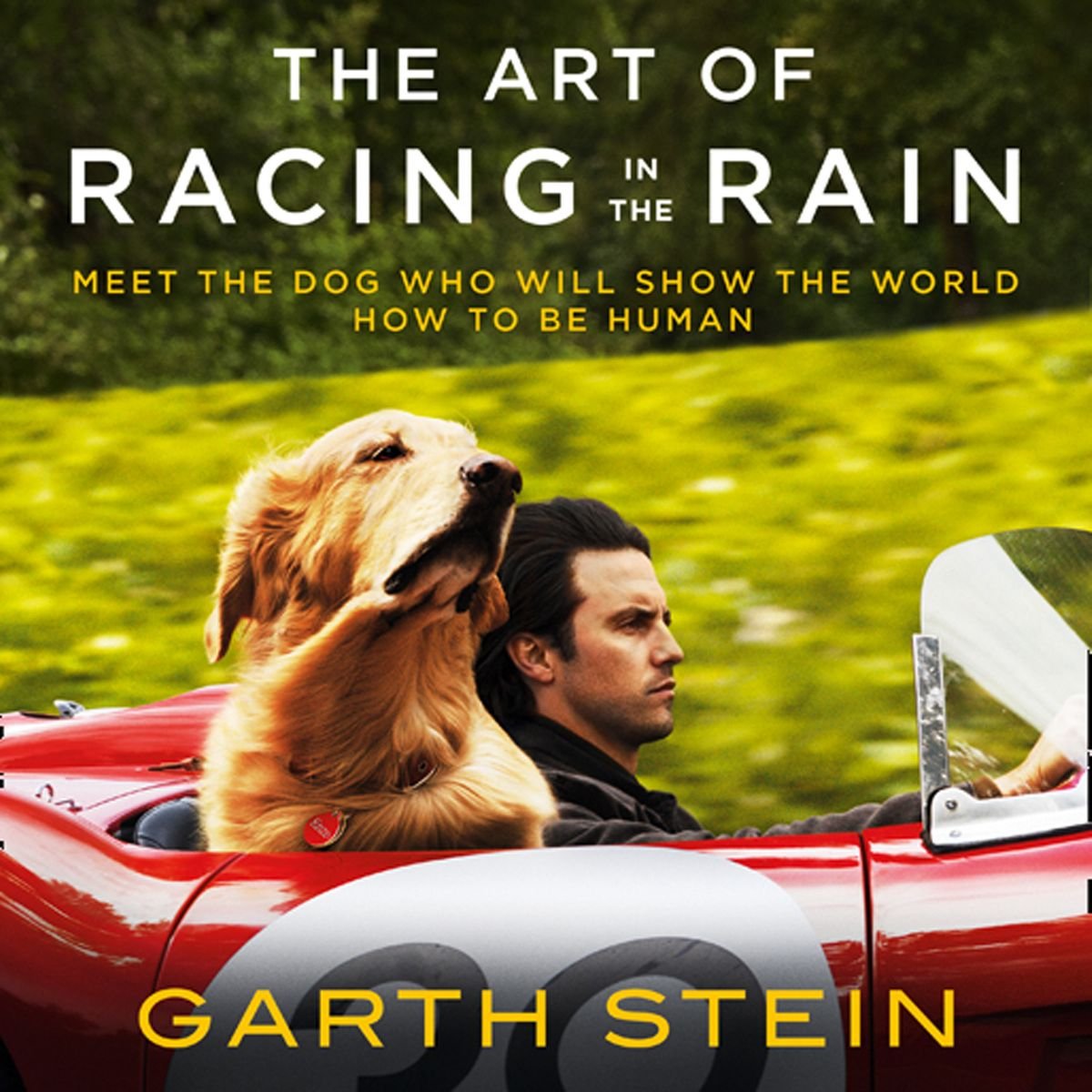 The Art of Racing in the Rain by Garth Stein Audiobook