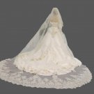 Vintage Sequined Lace Edge Tulle Wedding Veil w/ Blusher Pick Length