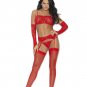 Lace Bra Garterbelt 4 Piece Set