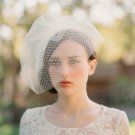 Vintage Tulle/Net Birdcage Wedding Weil All Colors