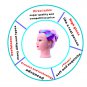 Head Hair Styling Dying Training Practice Head Cosmetology Mannequin Synthetic