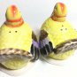 Thanksgiving Fall Turkey Salt and Pepper Shakers Decoration Set